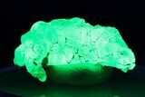Extremely Fluorescent Botryoidal Hyalite Opal - Nambia #283783-1